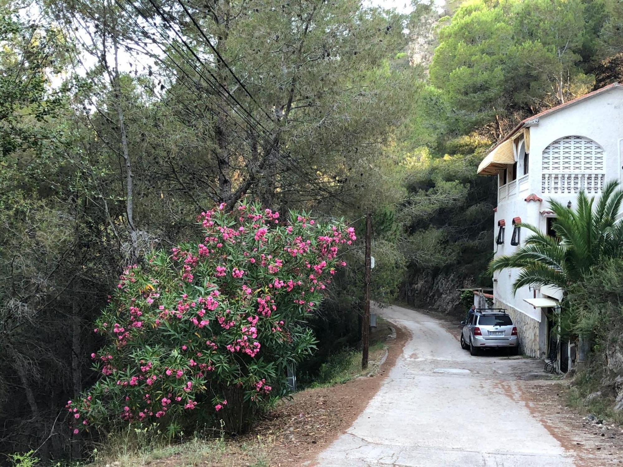 Almisera Villa Almiserat Kültér fotó